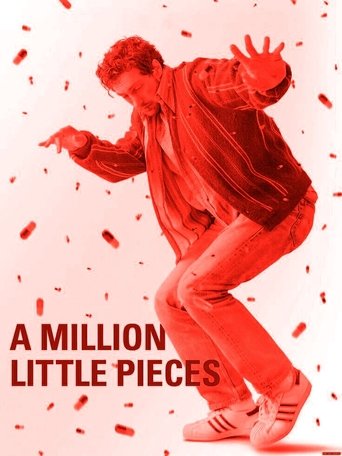 Film A Million Little Pieces streaming VF gratuit complet