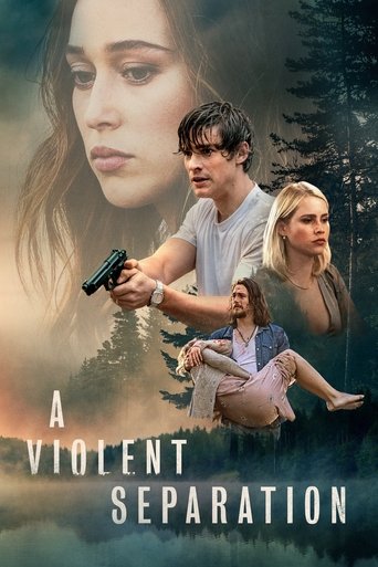 Film A Violent Separation streaming VF gratuit complet