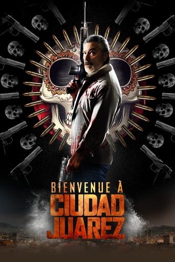 Film Bienvenue à Ciudad Juarez streaming VF gratuit complet