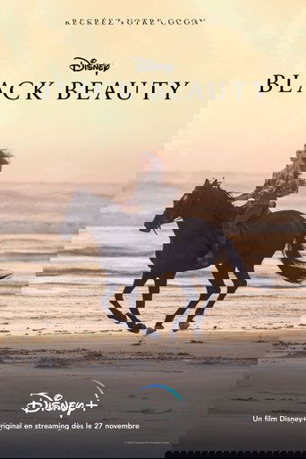 Film Black Beauty streaming VF gratuit complet