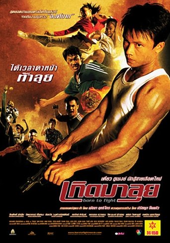 Film Born to Fight streaming VF gratuit complet