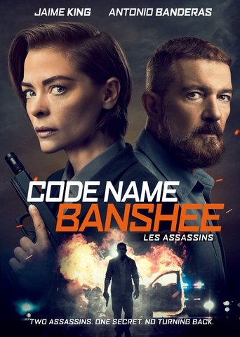 Code Name Banshee streaming VF gratuit complet