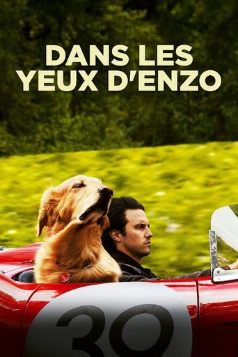 Film Dans les yeux d'Enzo streaming VF gratuit complet