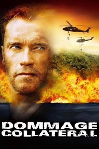 Dommage collatéral streaming VF gratuit complet