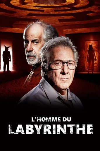 Film L'Homme du labyrinthe streaming VF gratuit complet