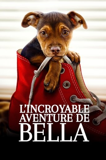Film L'Incroyable Aventure de Bella streaming VF gratuit complet