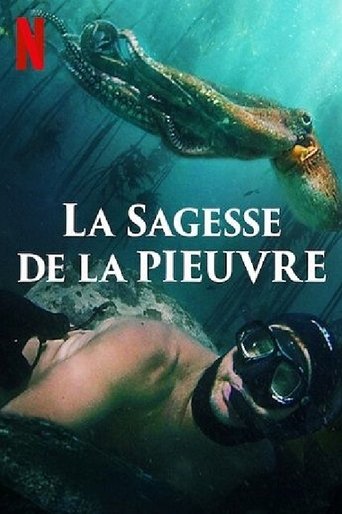 Film La Sagesse de la pieuvre streaming VF gratuit complet