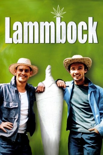 Film Lammbock streaming VF gratuit complet