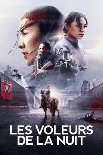 Film Les Voleurs de la nuit streaming VF gratuit complet