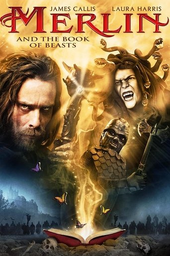Film Merlin et le livre des sorts streaming VF gratuit complet