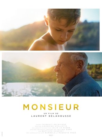 Monsieur streaming VF gratuit complet
