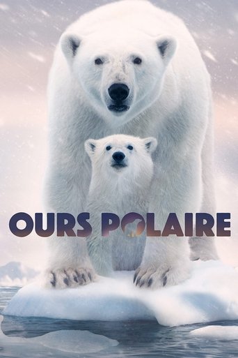 Film Ours polaire streaming VF gratuit complet