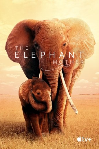 Film The Elephant Mother streaming VF gratuit complet