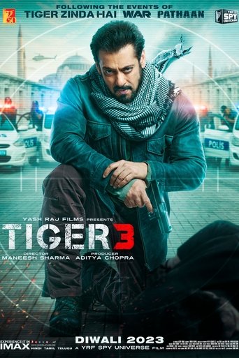 Film Tiger 3 streaming VF gratuit complet