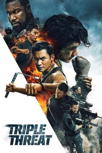 Film Triple Threat streaming VF gratuit complet