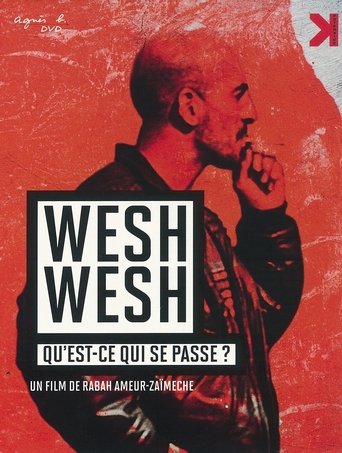 Film Wesh wesh, qu'est-ce qui se passe? streaming VF gratuit complet